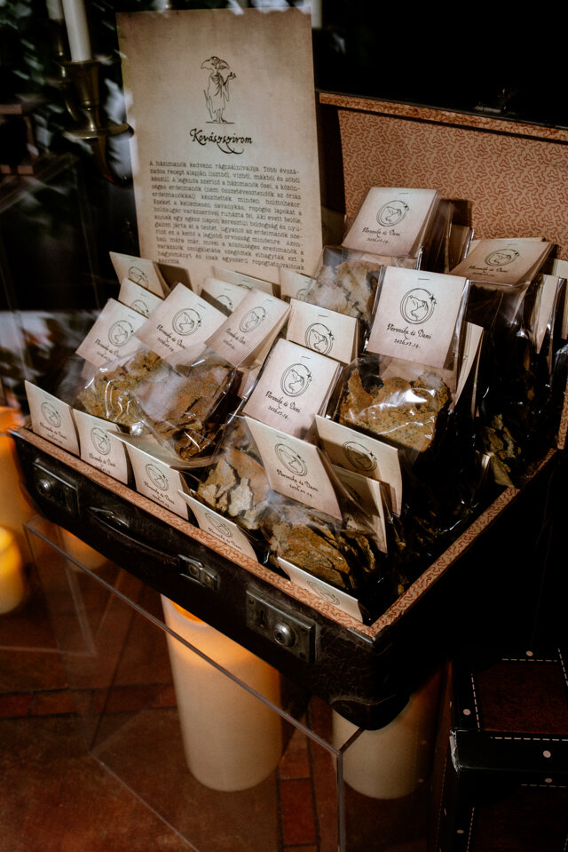 Üdvözlő és ülésrend tábla tematikus esküvőhöz