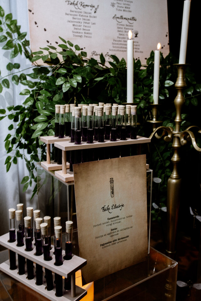 Üdvözlő és ülésrend tábla tematikus esküvőhöz