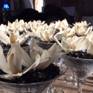 Orchidea martinis pohárban