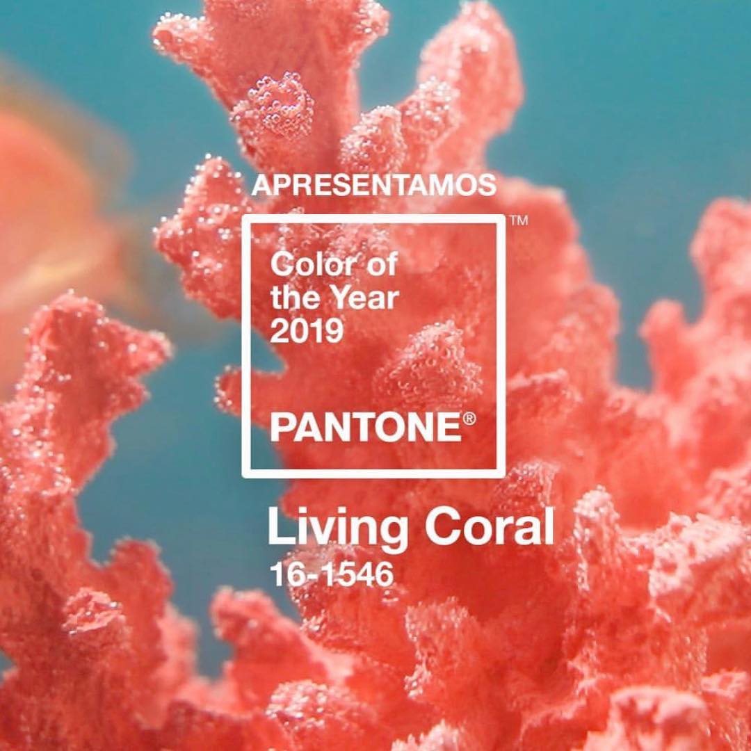 Pantone Living Coral 16-1546